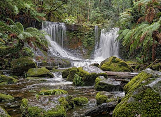 australia/mount-field-national-park/landmark/horseshoe-falls