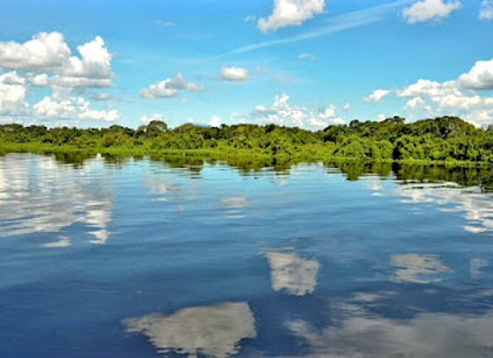brazil/pantanal/landmark/the-pantanal-of-rio-negro-state-park