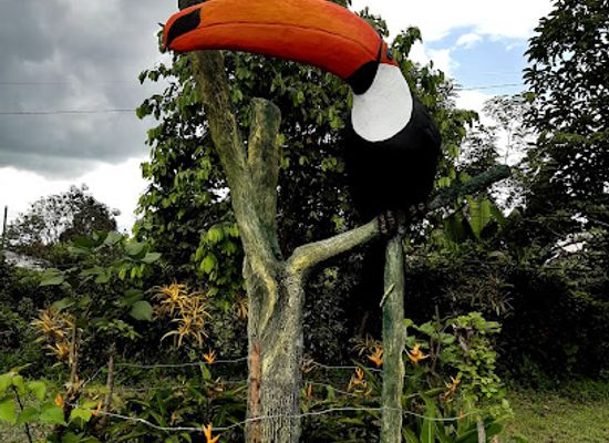 ecuador/santo-domingo-de-los-tsachilas-region/landmark/zoologico-la-isla-del-tapir