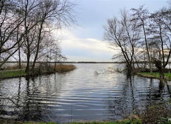 netherlands/gooi/landmark/naardermeer