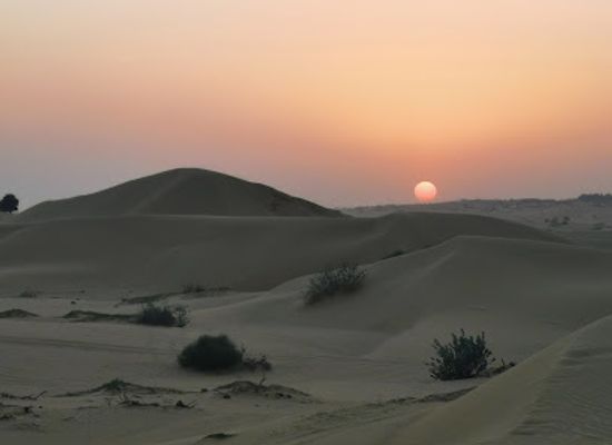 united-arab-emirates/northern-emirates/landmark/desert-lion-tourism