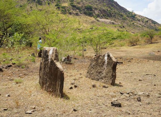 india/tamil-nadu/landmark/dolmonoid-cist