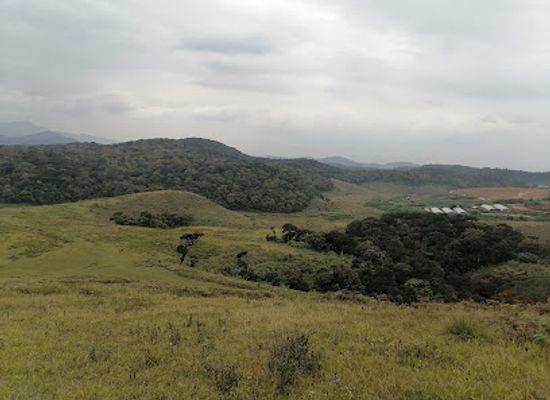 sri-lanka/nuwara-eliya-district/landmark/sri-padaya-view-point-ambewela