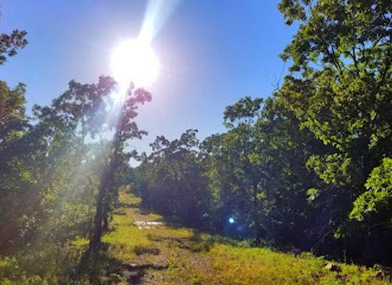 arkansas/pinnacle-mountain-state-park/landmark/pinnacle-view-trail