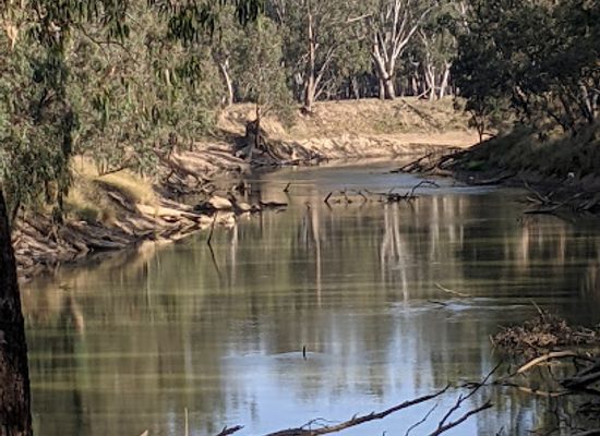 australia/goulburn-valley/landmark/lower-goulburn-national-park