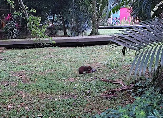 colombia/cali/ciudad-jardin/landmark/ciudad-jardin-park