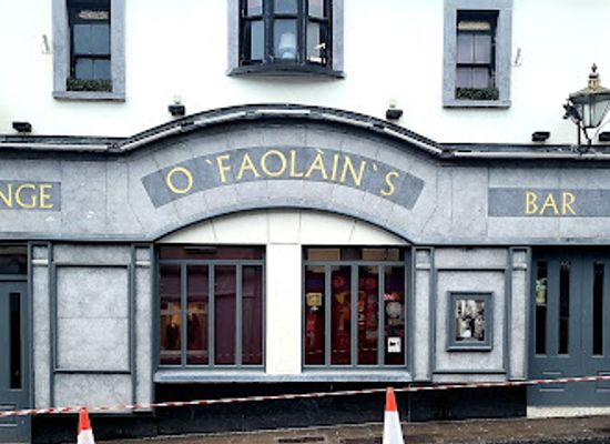 ireland/kilkenny/landmark/o-faolain-s