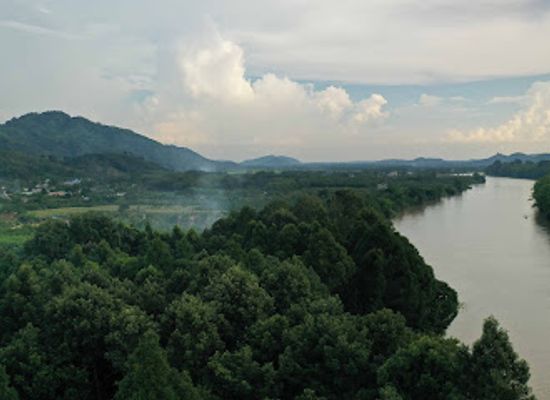 vietnam/central-highlands/landmark/cat-tien-garden