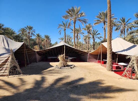 tunisia/the-djerid/landmark/l-ilot-palmiers