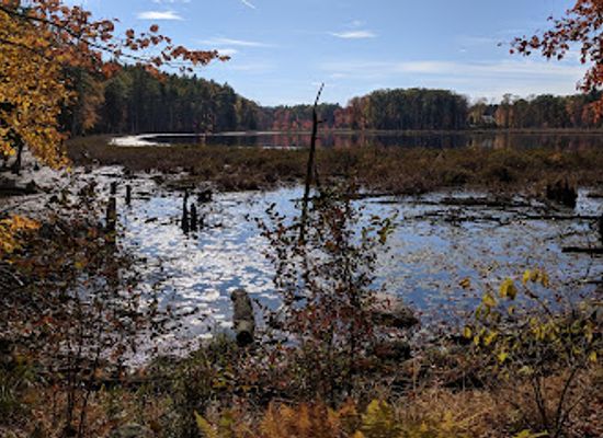 new-hampshire/nashua/landmark/lovewell-pond-yudicky-farm-conservation-area