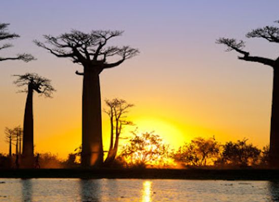 madagascar/antsirabe/landmark/madagascar-green-tours