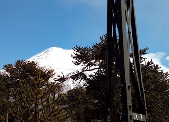 chile/araucania-region/landmark/national-forestry-corp