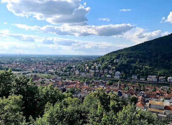 germany/heidelberg/landmark/riesenstein