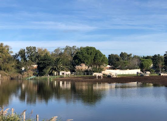 france/camargue/landmark/promenade-a-cheval-chez-elise