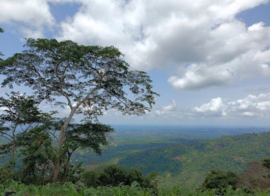togo/mount-agou-area/landmark/chateau-viale
