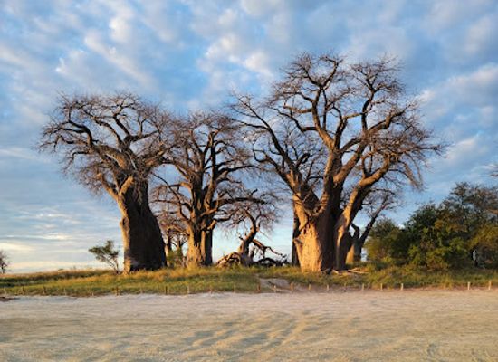 botswana/kgatleng-district/landmark/nxai-pan-national-park