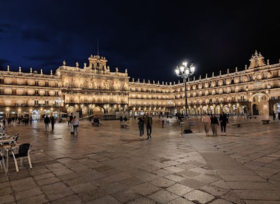 spain/salamanca/landmark/tourist-office-of-the-city-of-salamanca