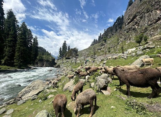 india/pahalgam/landmark/kashmir-tour-maker