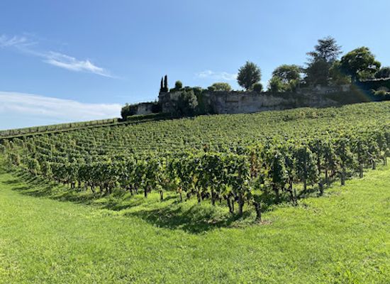 france/bordeaux-wine-region/landmark/bordeaux-so-you-wine-tours