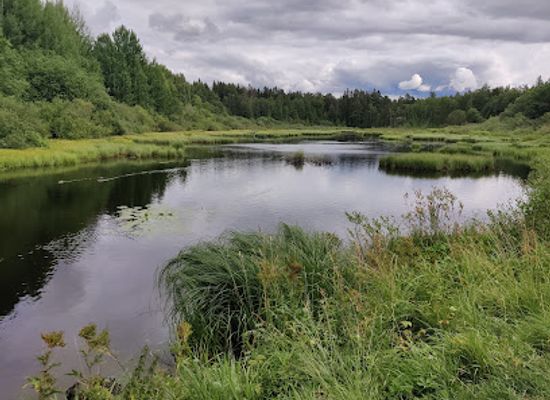 finland/espoo/landmark/espoo-central-park