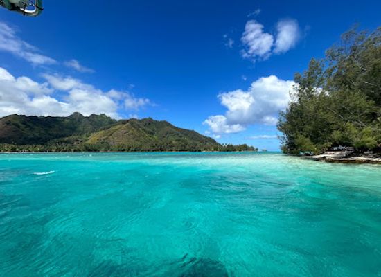 french-polynesia/moorea/landmark/corallina-tours