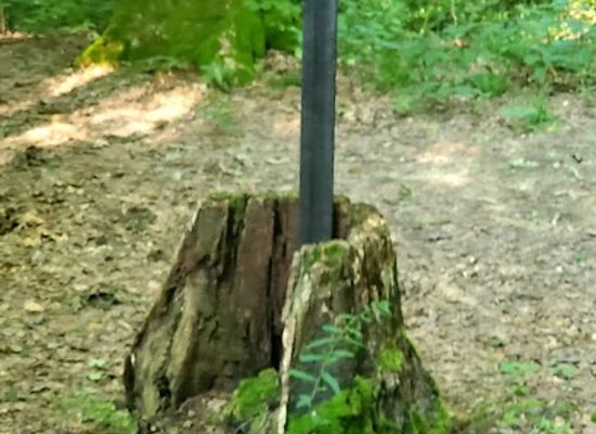 ohio/central-ohio/landmark/mohican-state-park-back-pack-campsite-5