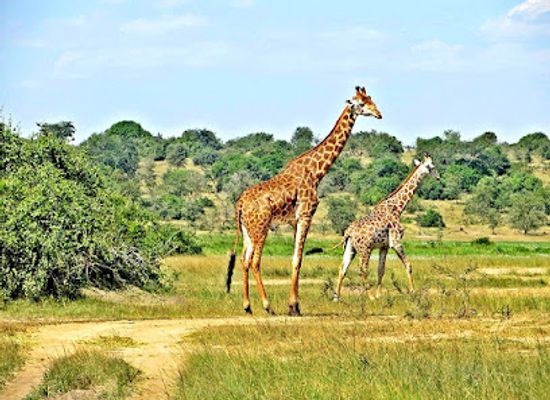 rwanda/kigali/landmark/yambi-tours-adventures
