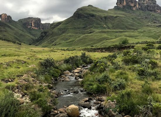 south-africa/drakensberg/landmark/garden-castle-state-forest