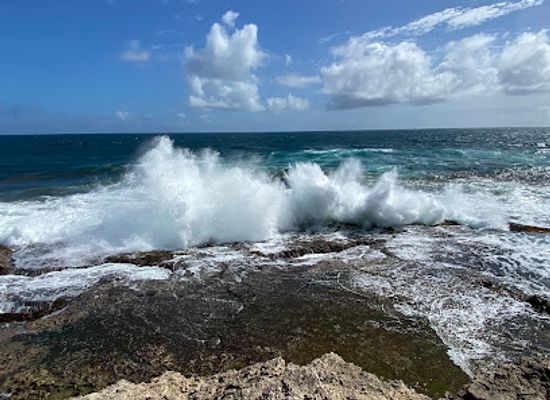 barbados/south-coast/landmark/island-safari-b-dos-ltd