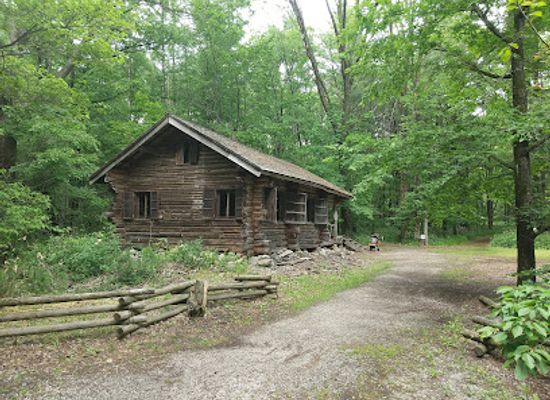 japan/hokkaido/landmark/rokugo-forest