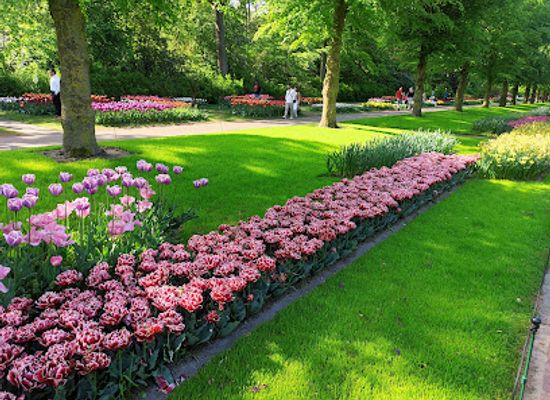 netherlands/bollenstreek/landmark/keukenhofbos-ingang-duinhof