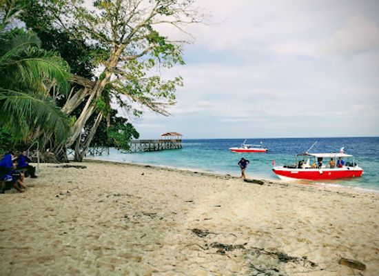 malaysia/pulau-sipadan/landmark/barracuda-point