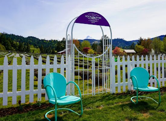 oregon/hood-river-county/landmark/hood-river-lavender-farms
