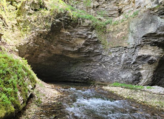 iowa/northeast-iowa/landmark/cold-water-spring-state-preserve