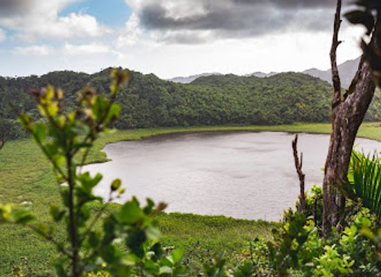 grenada/etang-national-park/landmark/grand-etang