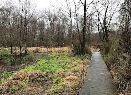 new-jersey/great-swamp-national-wildlife-refuge/landmark/great-swamp-national-wildlife-refuge-wilderness-area