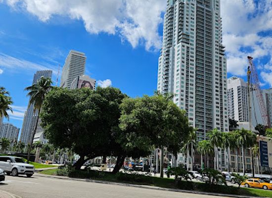 florida/miami/downtown-miami/landmark/miami-walk-of-fame
