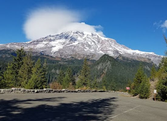 washington/mount-rainier-national-park/landmark/ricksecker-point