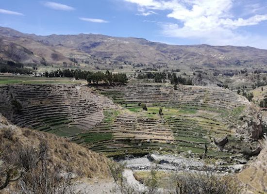 peru/south-coast/landmark/colca-canyon