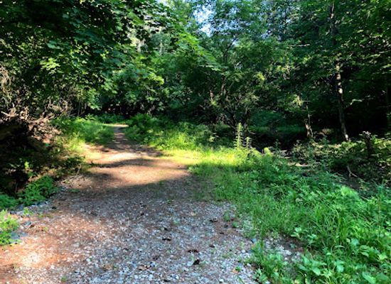 new-hampshire/hanover/landmark/girl-brook-trails