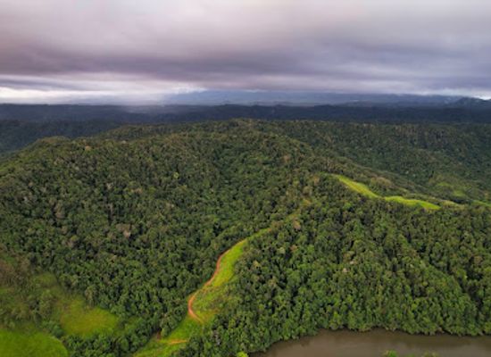 australia/daintree-rainforest/landmark/crocodile-express-daintree-river-cruises