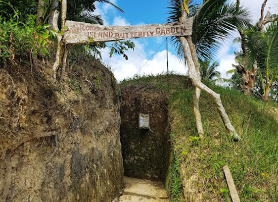 philippines/siquijor/landmark/butterfly-sanctuary