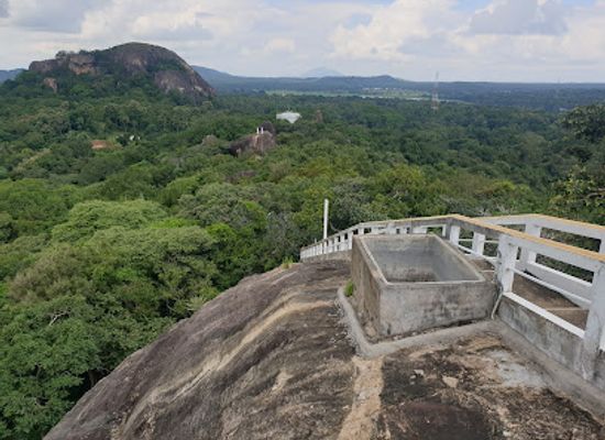 sri-lanka/cultural-triangle/landmark/ederagala-wana-senasuna