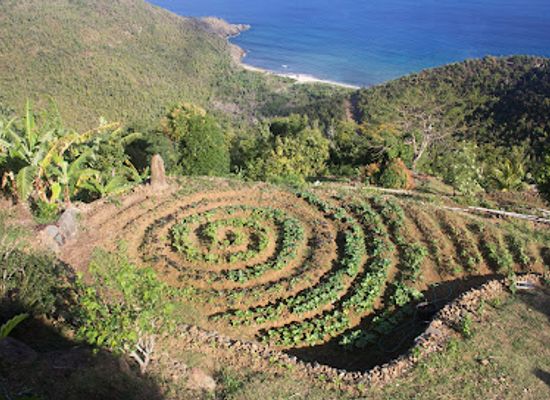 british-virgin-islands/west-end/landmark/good-moon-farm