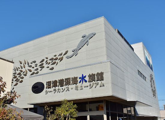 japan/suruga/landmark/numazu-deep-sea-aquarium