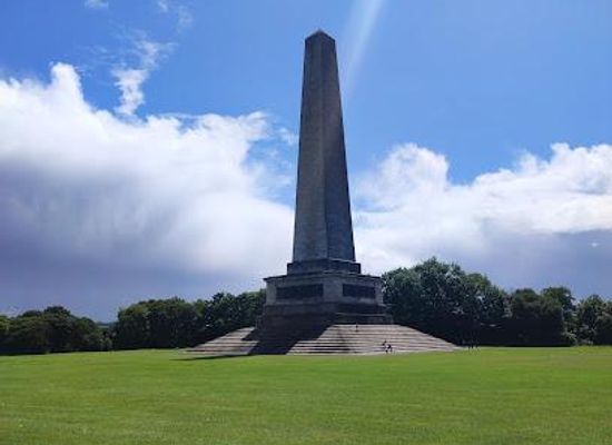 ireland/drogheda/landmark/wellington-monument