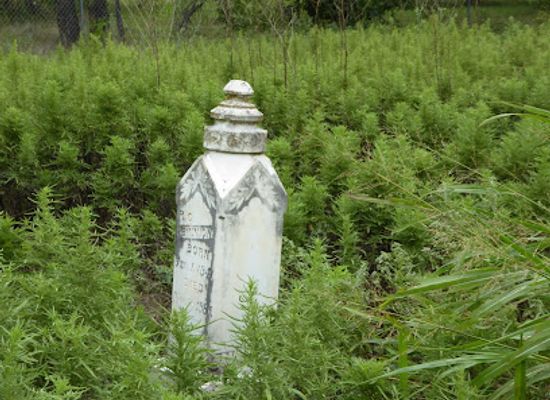 texas/hill-country/landmark/john-h-shorty-brown-cemetery-historic-marker