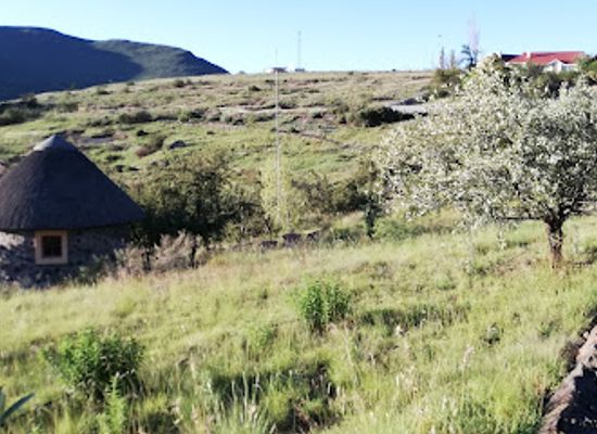 lesotho/qacha-s-nek/landmark/katse-dam-botanical-gardens-nursery