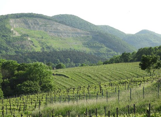 austria/vienna-woods/landmark/maurer-wald