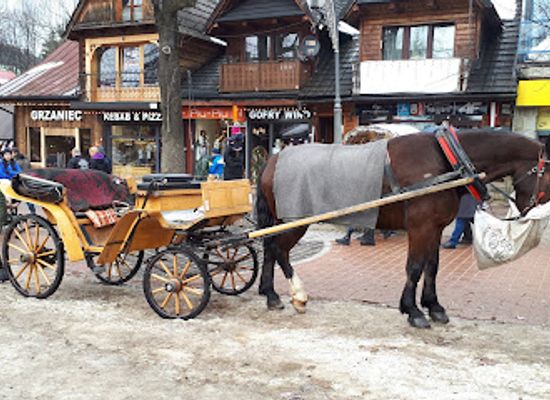 poland/zakopane/landmark/restauracja-tunel-zakopane-pizza-burgery
